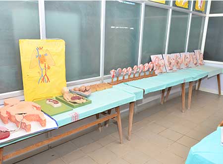 project-area